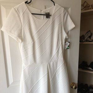 NWT -Taylor cream knit dress.